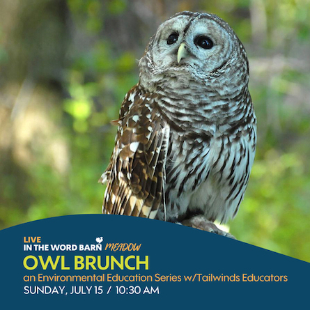 owl brunch word barn