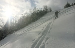 OUTDOORS_Stowe3_byAaronRohdePhotography