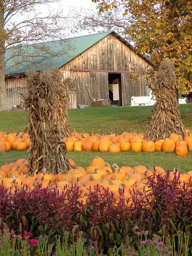 © Photo Barker's Farm, Stratham