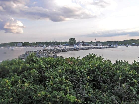 Rye Harbor State Park