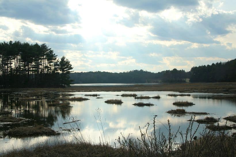 © Photo Great Bay Estuary at Adams Point