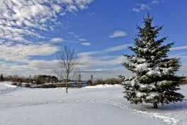 A Lovely Day On Peirce Island, Portsmouth