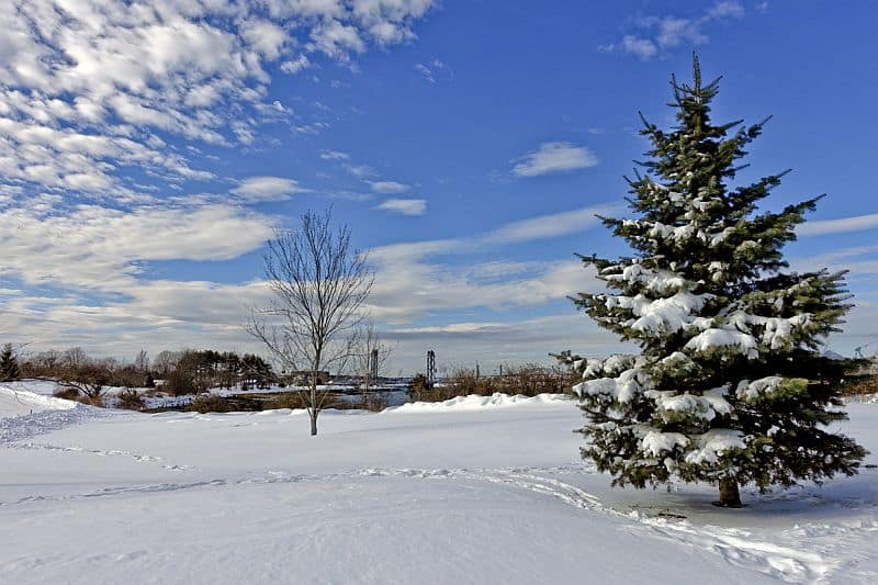 A Lovely Day On Peirce Island, Portsmouth