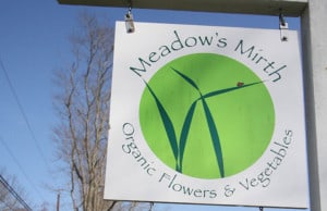 small_bites_meadows_mirth2