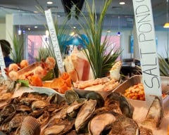 Surf Restaurant