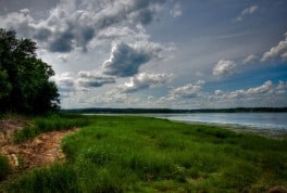 Great Bay by Whitney Bowley