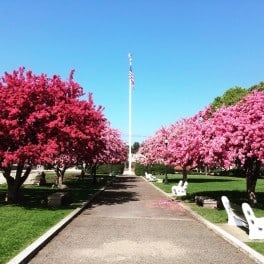 May Flowers, Prescott Park