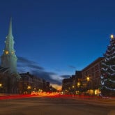 christmas tree portsmouth
