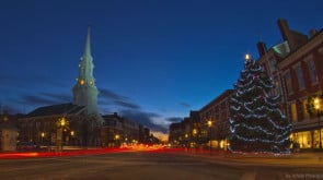 christmas tree portsmouth