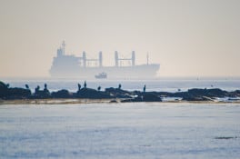 Ship headed to sea, Rye NH