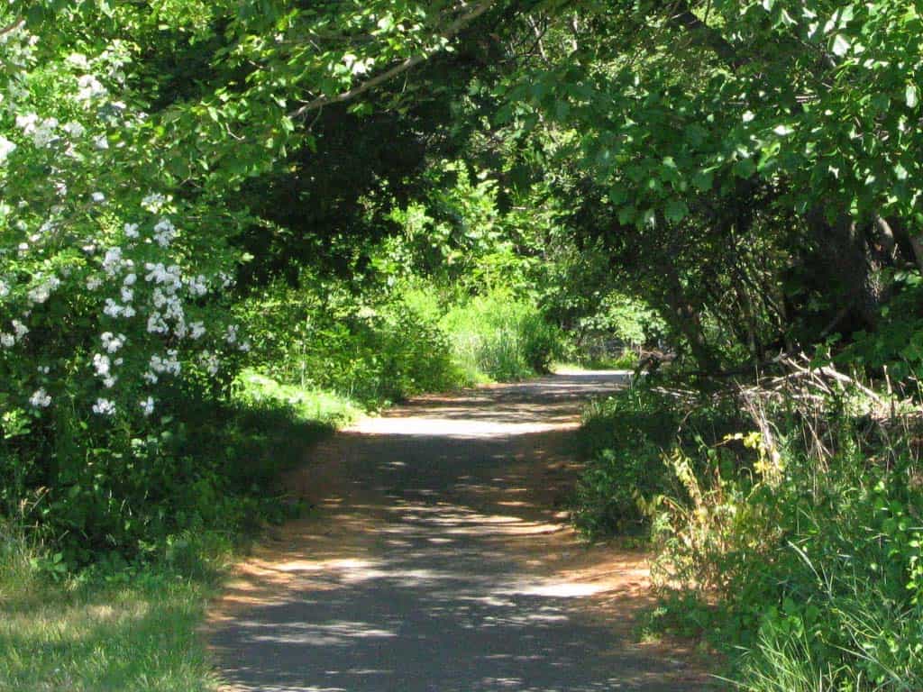 Odiorne Point State Park, Rye, NH  Things To Do  PortsmouthNH.com
