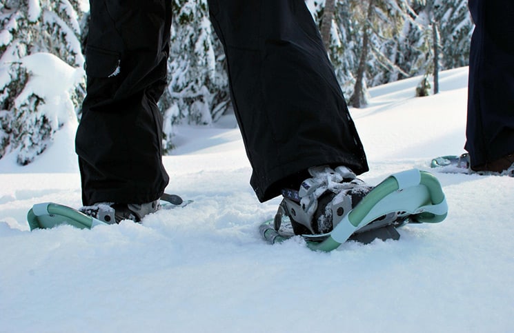 snowshoeing