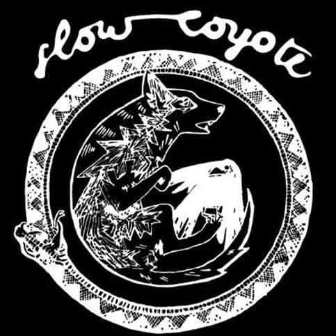 Slow Coyote