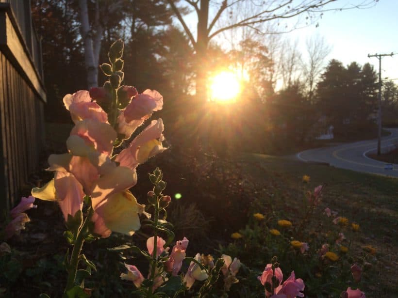 Kittery Point Sunrise