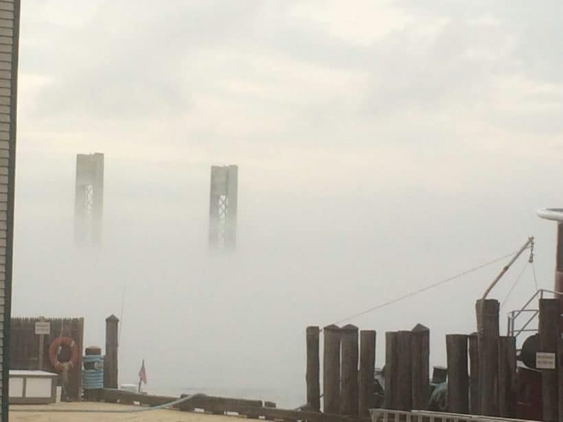 Sarah Mildred Long Bridge into the fog