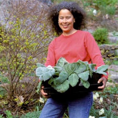 Art Events Outdoors 40 Great Plants For New England Gardens 2018 05 15 10 00 00 Portsmouthnh Com