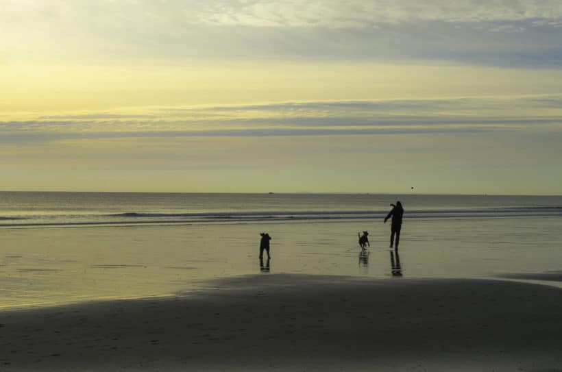 Man and his two best friends
