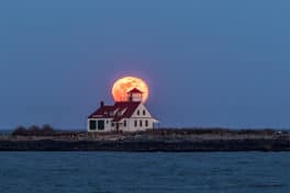 Full Sap Moon, New Castle