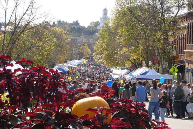 Apple Harvest Day