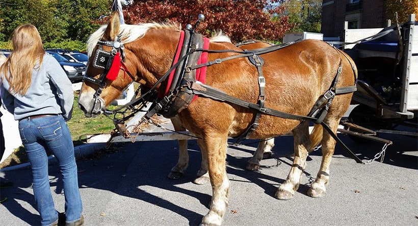 Kittery Halloween Celebration