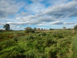 wagon hill durham