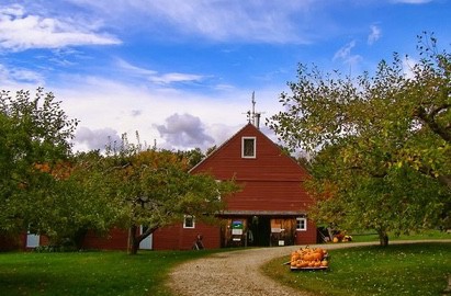 Stewards Of Our Land Preserving And Supporting Local Farms