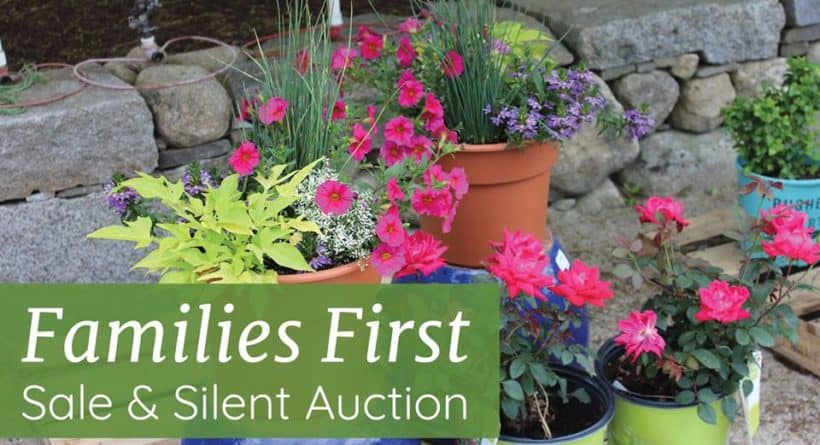 Silent Auction Garden At Rolling Green Nursery Garden At Rolling Green Nursery