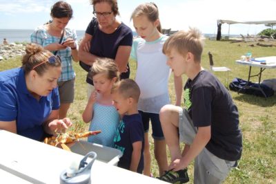 world ocean day family festival rye