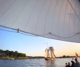 tall ship lynx