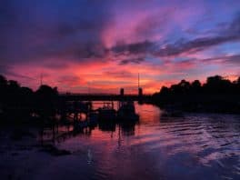 badger's island sunset