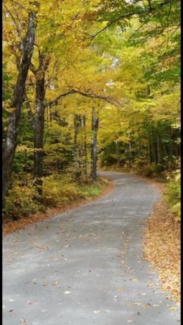 white mountains