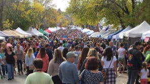 apple harvest day dover