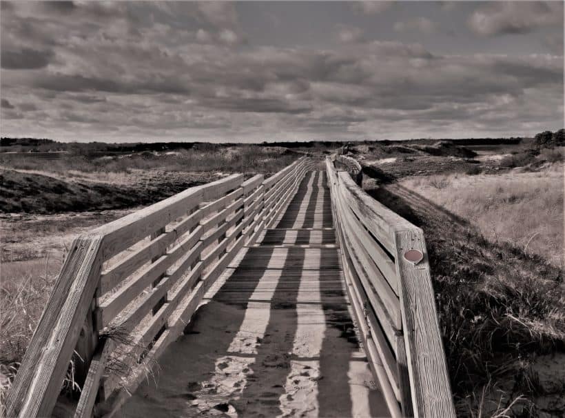 plum island walkway