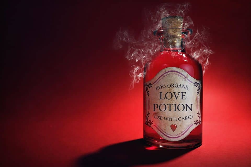 Image result for potion of love