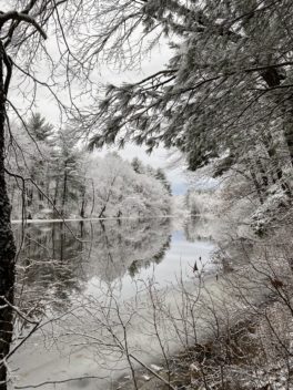 dover community trail winter