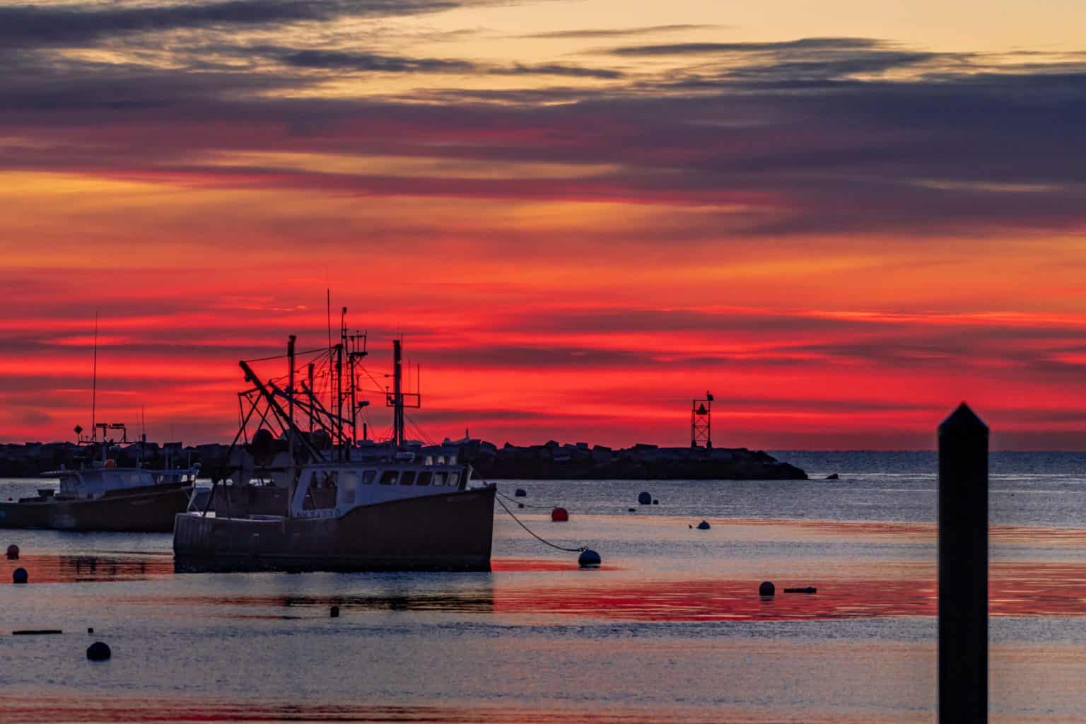 © Photo Sunday on Rye Harbor at Low Tide