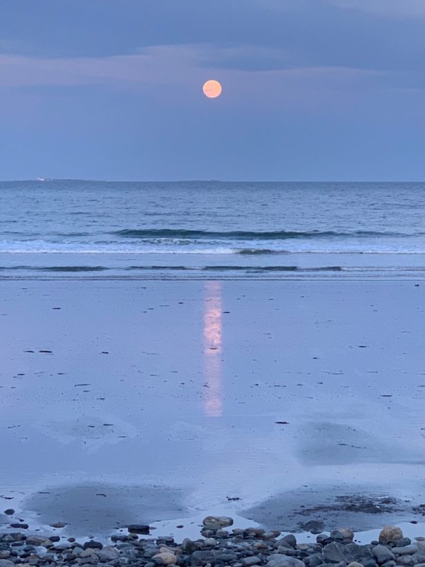 super pink moon rye