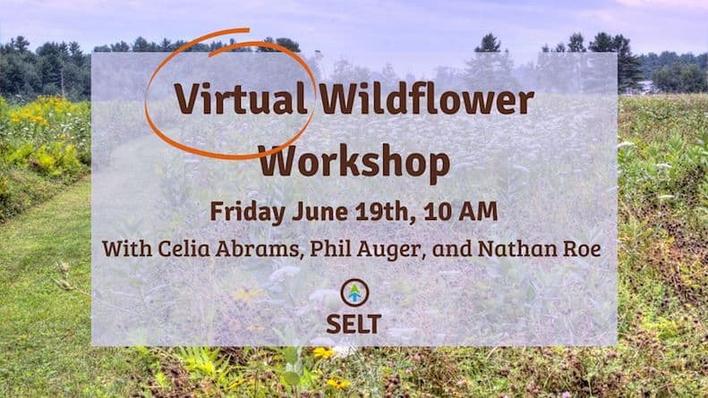 selt wildflower workshop