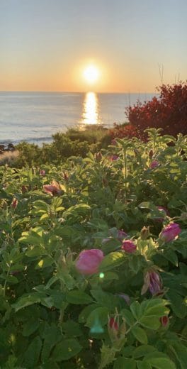 nubble sunrise cape neddick