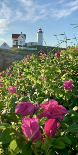 nubble lighthouse york beach