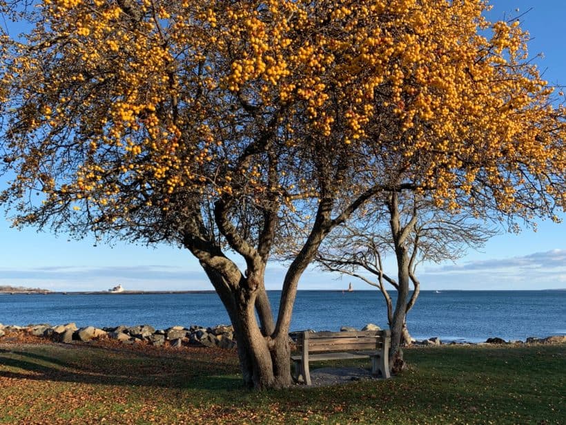 great island common fall