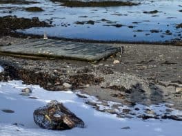 odiorne point state park