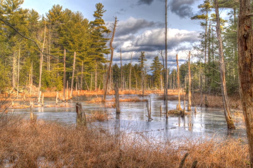 lubberland creek preserve