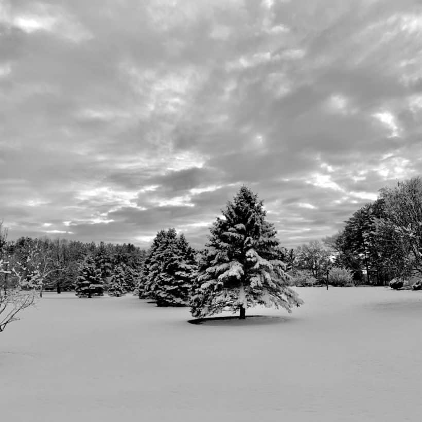 newington nh winter