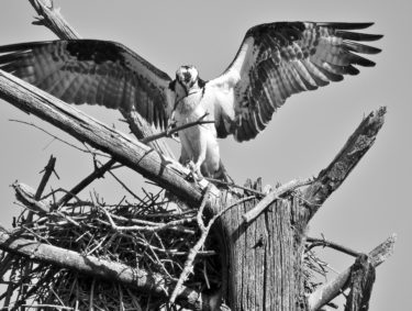 Photos of Portsmouth NH and the Seacoast | PortsmouthNH.com