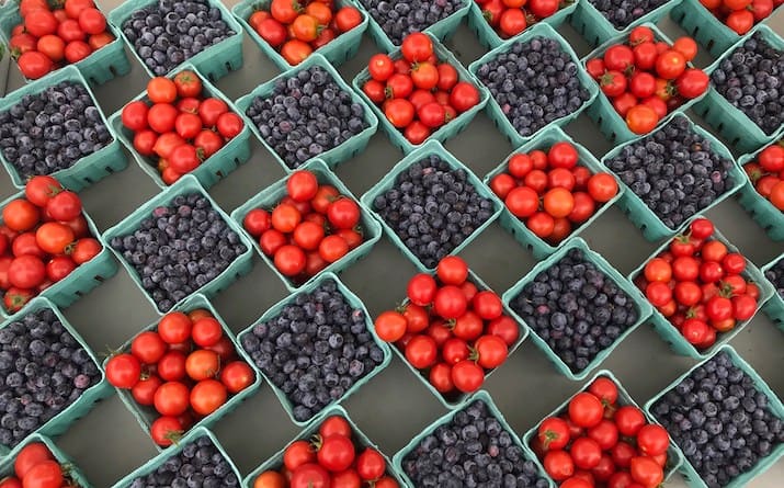 seacoast farmers markets nh