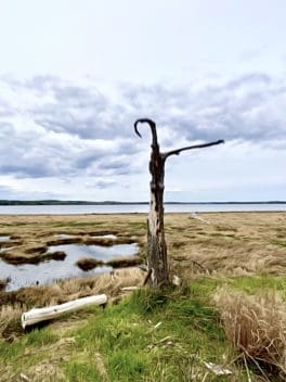 great bay discovery center