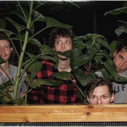 plant fight band
