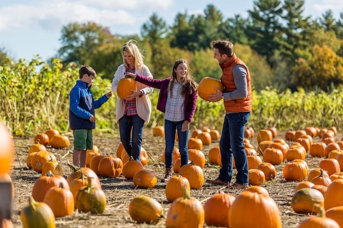 applecrest farm pumpkins