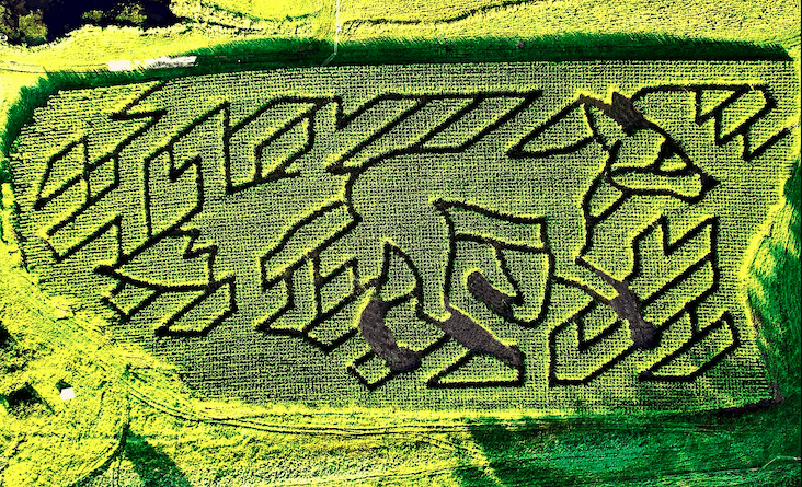 coppal house corn maze